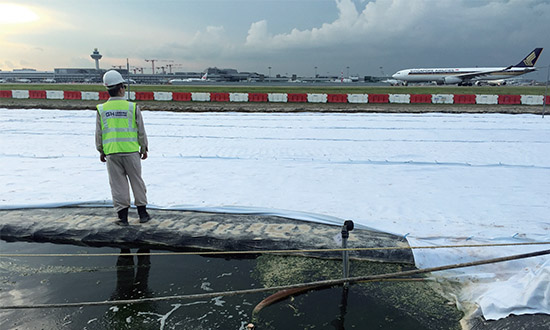 welcome-��������